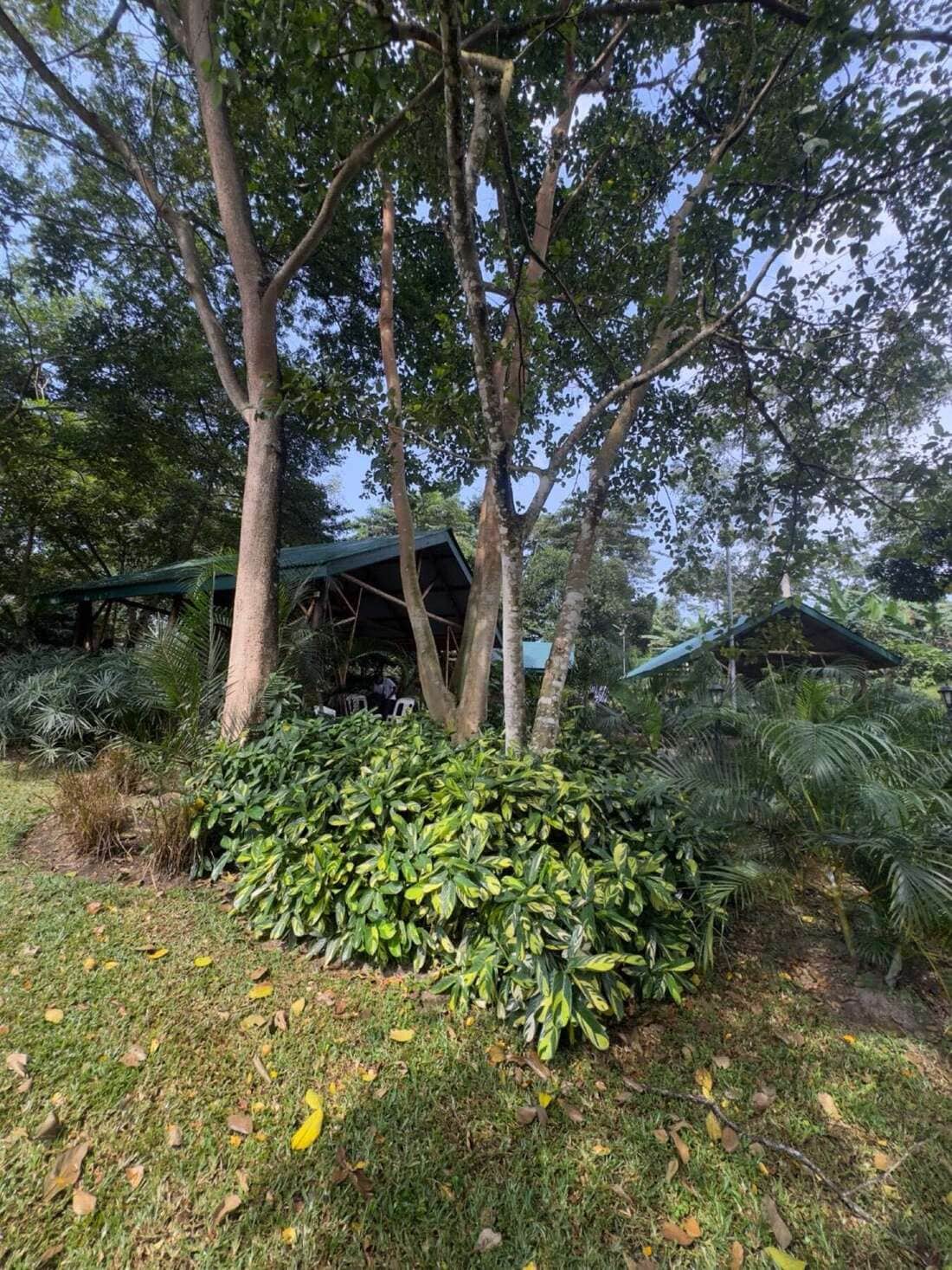 Farm grounds and growing areas at Ampumuzza